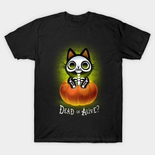 Schrödinger's Cat Nightmare - Funny Halloween Pumpkin - Dead and Alive T-Shirt